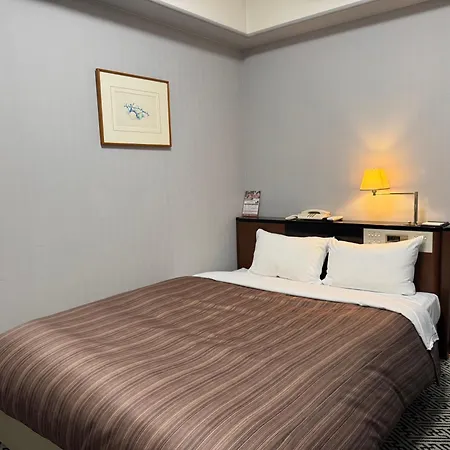 Ark Hotel Kumamotojo Mae -Route Inn Hotels--2