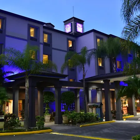 Sleep Inn Paseo Las Damas-3