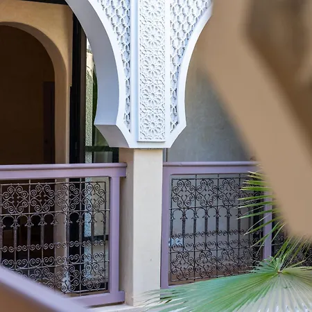 Riad Beldi-3