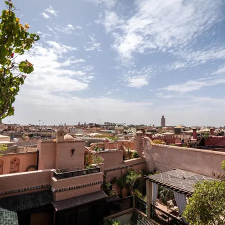 Riad Ilayka-2