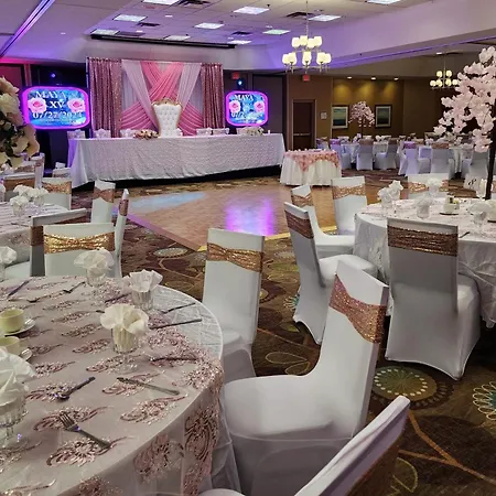 Holiday Inn & Suites Bolingbrook By Ihg-3