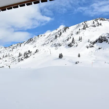 Apart-Wolf-Arlberg-2