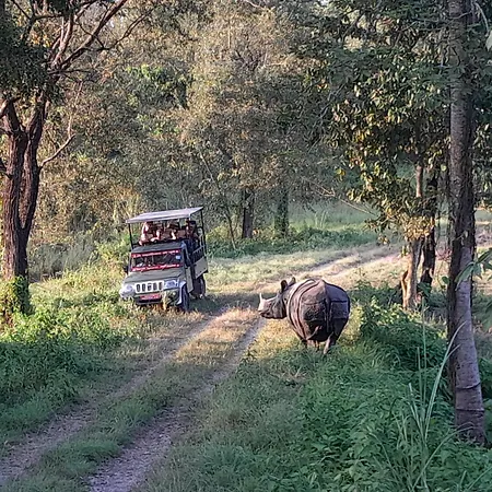 Crocodile Safari Camp-3