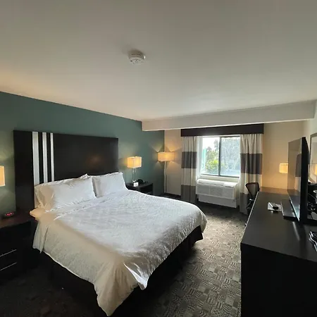 Holiday Inn Express & Suites Carlsbad Beach By Ihg-2