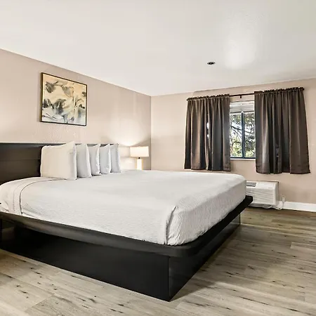 Best Western Plus Orchid Hotel & Suites-2