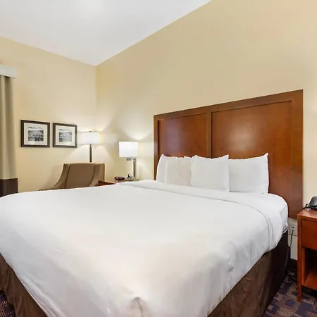 Comfort Inn & Suites North Aurora - Naperville-2