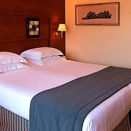 Protur Roquetas Hotel&Spa-3