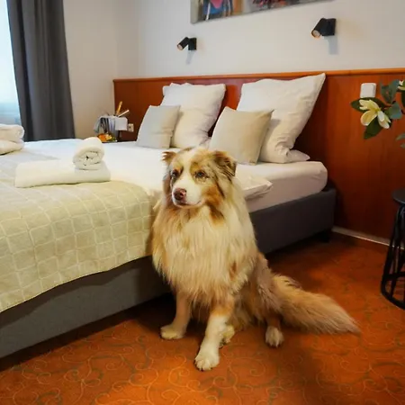 Hotel Snezka-2
