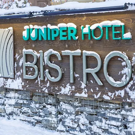 The Juniper Hotel & Bistro-2