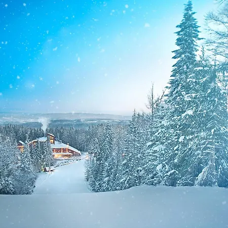 Hotel Yastrebets Wellness & Spa-3