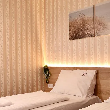 Hotel Amadeus-2