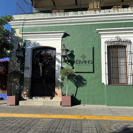 Ebano Hotel Boutique (Adults Only)-2