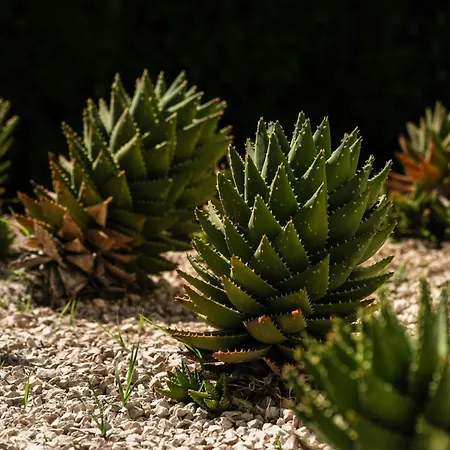 Delta Hotels By Marriott Olbia Sardinia-2