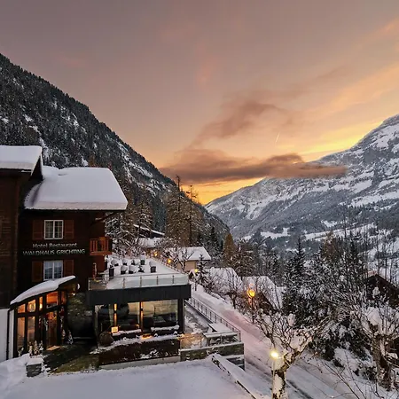 Hotel Restaurant Waldhaus-2