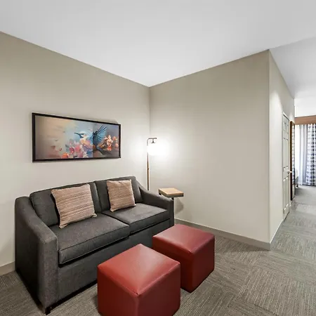 Hilton Garden Inn Overland Park-3