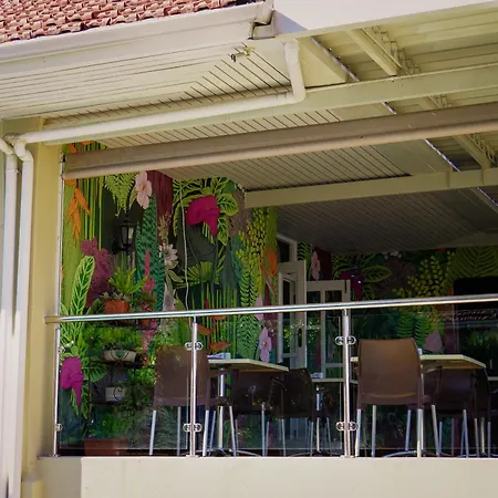 Sundown Manor Guest House-2