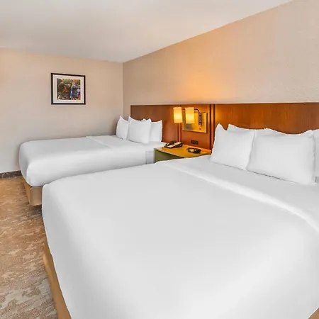 Comfort Inn Hamilton - Stoney Creek-3