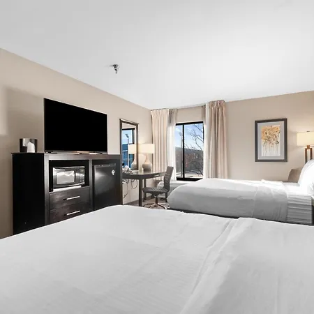 Best Western Courtview Hotel-2