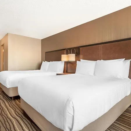 Best Western Plus Calgary Centre Inn-3