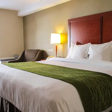 Comfort Inn Dartmouth-2
