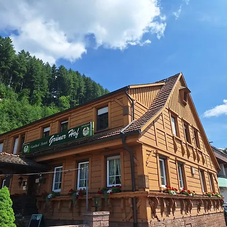Grüner Hof-2