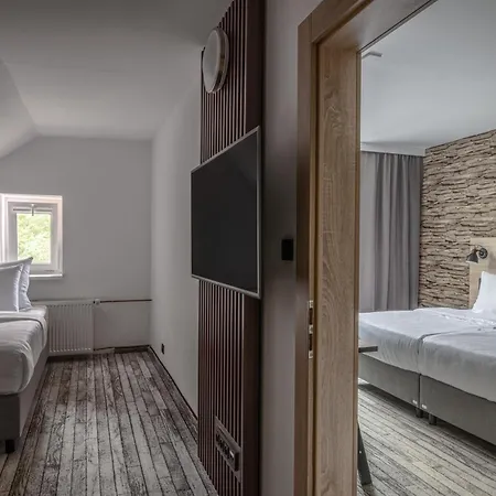Orea Resort Horizont Sumava-3