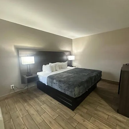 Econo Lodge St Petersburg Central-2