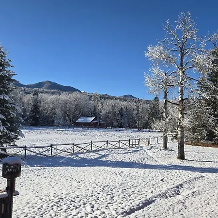 Black Cat Guest Ranch-2