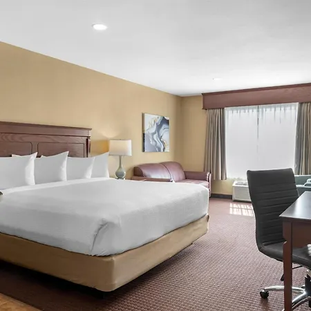 Best Western Plus Fredericton Hotel & Suites-3