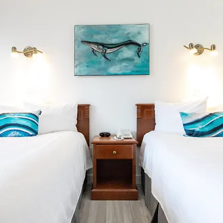 Hotel Plante-2