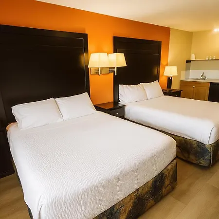 Best Maple Inn - Drayton Valley-2