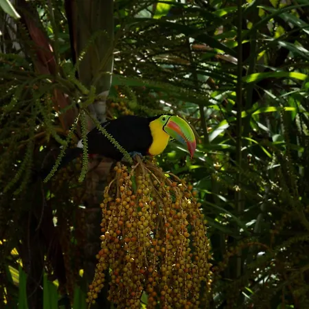 Albrook Inn-2