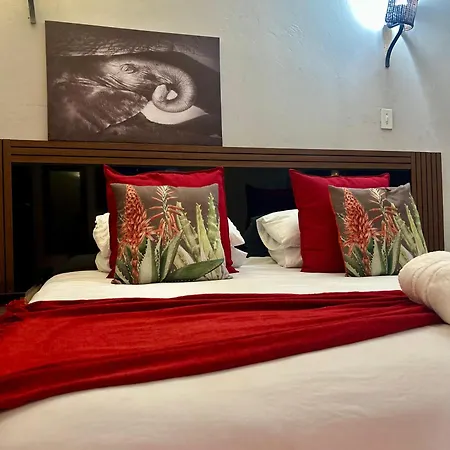 Bothabelo Lodge-3