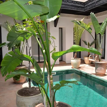 Riad Bab 54-3
