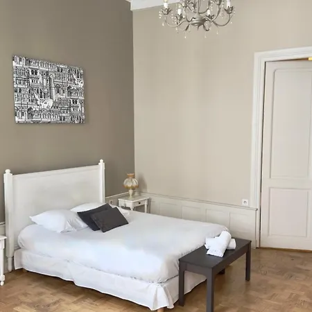 Les Suites de Sautet - Chambéry centre-2