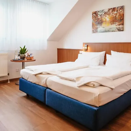 Hotel & Restaurant Goldener Pflug-2