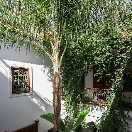 Riad Les Bougainvilliers-2