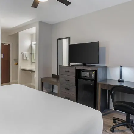 Hom Hotel Gainesville, Surestay Collection By Best Western-2