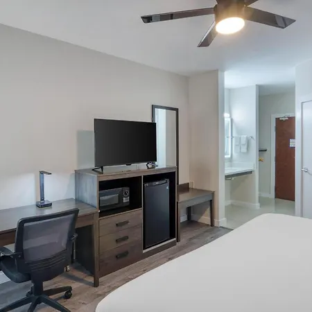 Hom Hotel Gainesville, Surestay Collection By Best Western-3