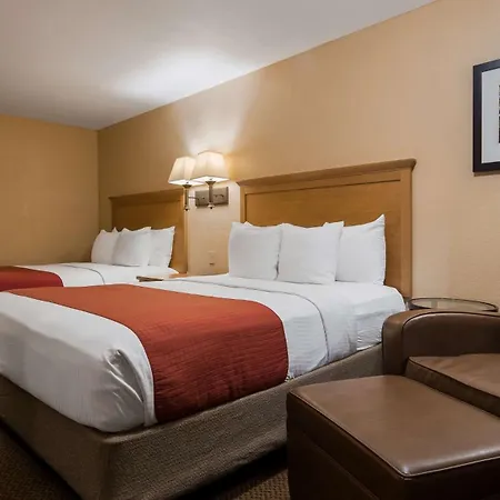 Surestay Plus By Best Western Covington-3
