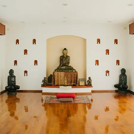 La Buena Vibra Wellness Resort & Spa (Adults Only)-3
