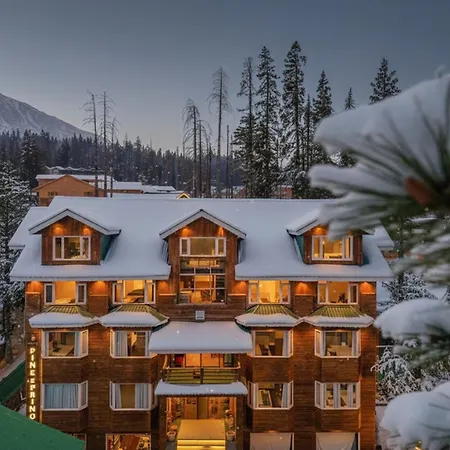 Hotel Pine Spring Gulmarg-3