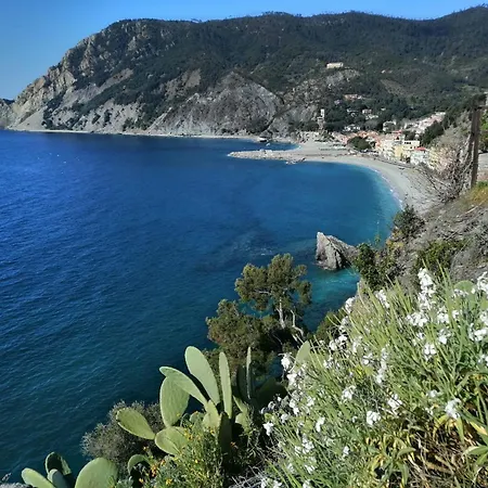 Affittacamere Alle 5 Terre-2