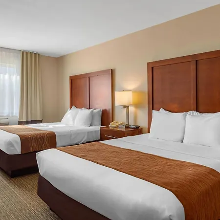 Comfort Inn & Suites Murrieta Temecula Wine Country-3