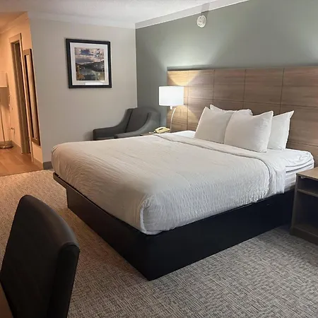 Quality Inn & Suites-3