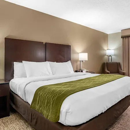Comfort Inn Pearl-Jackson-2