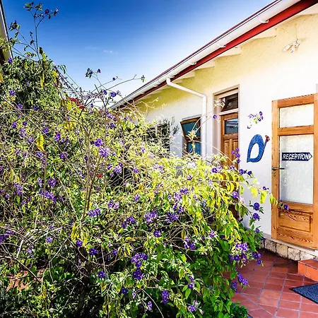 Meike'S Guesthouse-2