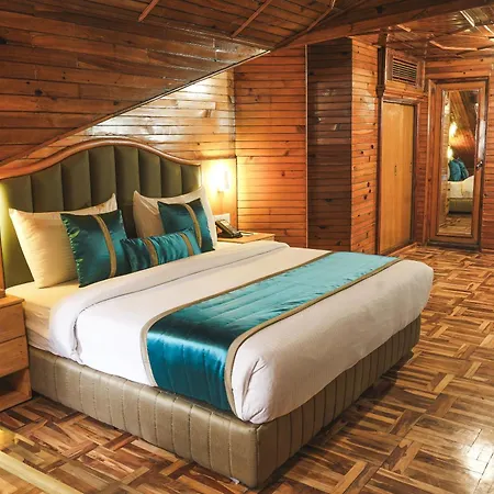 Bravia Hotel Manali Inn-3