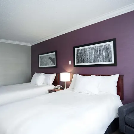 Sandman Hotel & Suites Williams Lake-2