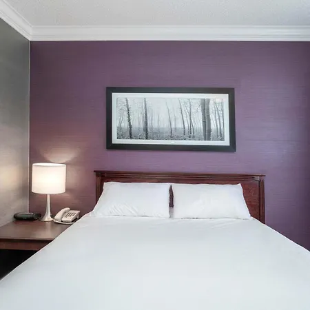 Sandman Hotel & Suites Williams Lake-3